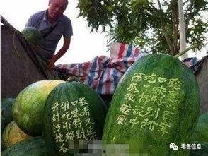 郑州花园吃瓜事件,一场引发热议的邻里冲突