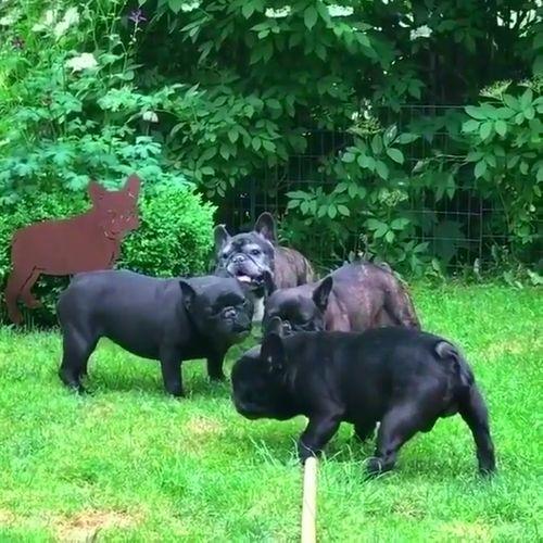 打架观众吃瓜,观众吃瓜，见证打架盛宴