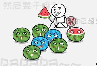 祝你每天有瓜可吃,每日瓜趣生活分享