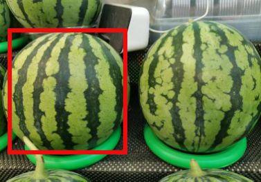 瓜甜怎么吃才不甜,吃法大揭秘！