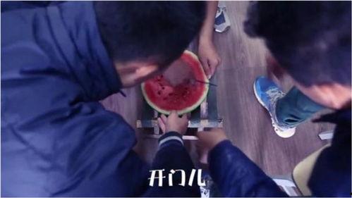 吃瓜爆笑段子大全,瓜田里的欢乐时光
