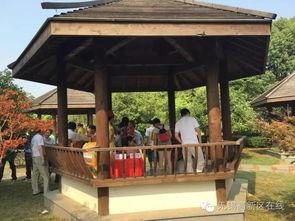 吃瓜群凉亭视频,揭秘网络热议背后的真相