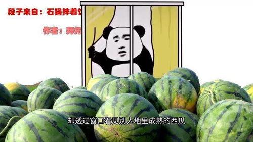 表哥在线吃瓜,揭秘娱乐圈幕后真相