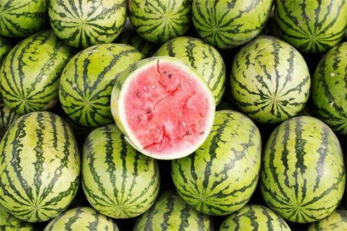 吃瓜的西瓜人,吃瓜西瓜的人生启示