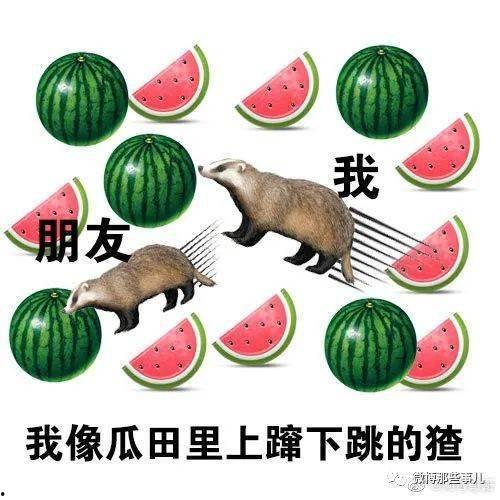 大晨快乐吃瓜