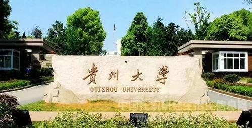 贵州大学大型吃瓜现场