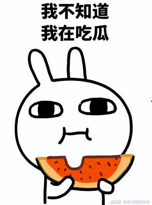 单人吃瓜画画大全,解锁绘画乐趣新境界