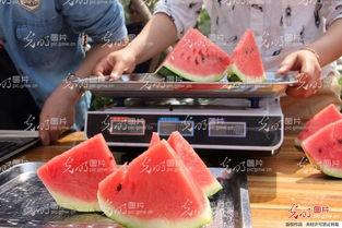 恶心西瓜特效吃瓜,一场颠覆味蕾的味觉盛宴