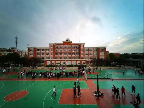 西昌学院近日吃瓜,一场别开生面的校园热议