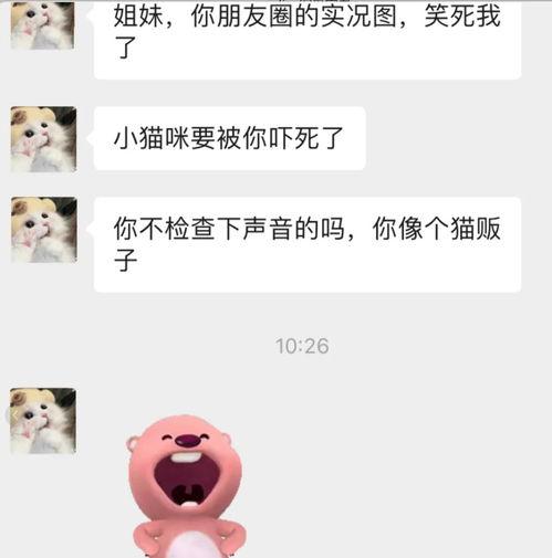 吃瓜聊什么最好,揭秘热门话题背后的趣味与深度