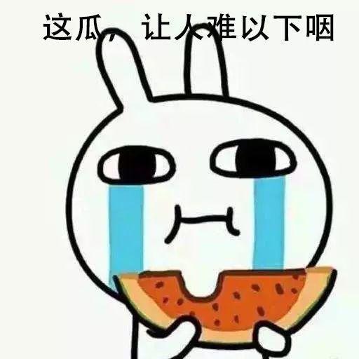 吃瓜消梗,轻松解锁快乐生活新姿势