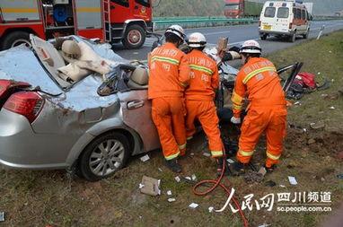 吃瓜跑山撞大运,一场奇妙的冒险之旅