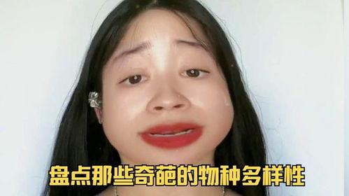 带你吃瓜奇葩物种,奇特的“带你吃瓜”世界，揭秘那些令人惊叹的奇葩物种