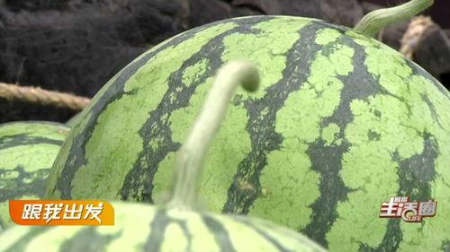 宜昌本地吃瓜新闻,本地吃瓜新闻引爆网络