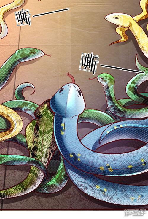 吃瓜动画画世界,描绘一个充满奇幻色彩的世界