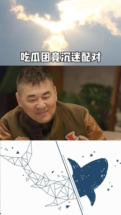 吃瓜影评团,揭秘电影幕后真相，带你领略光影魅力