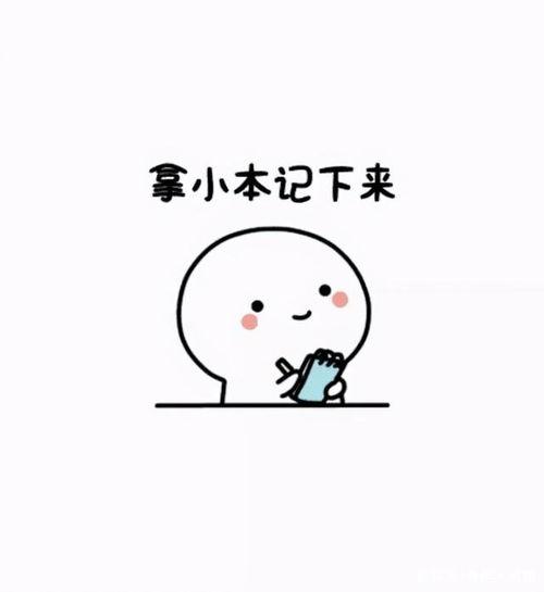 吃瓜ppt事件后续,真相揭晓与网络舆论的反思