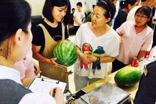 大可 吃瓜,揭秘娱乐圈吃瓜背后的真相