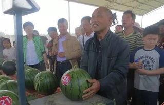 鲁山吃瓜群众们,揭秘当地生活百态