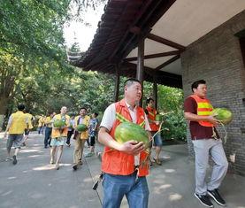 鲁山吃瓜群众们,揭秘当地生活百态