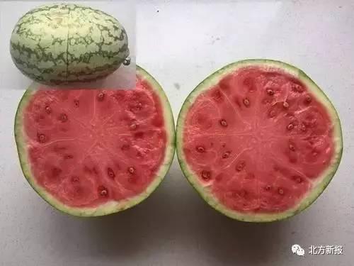 吃西瓜籽的瓜叫什么瓜