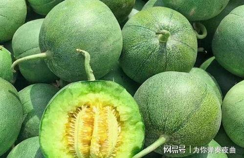 吃绿宝瓜搞笑视频大全,欢乐无限，笑料连连