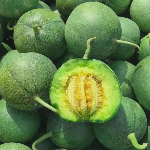 吃绿宝瓜搞笑视频大全,欢乐无限，笑料连连