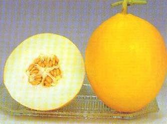 小产后可以 吃瓜吗