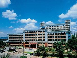 深圳宝安中学吃瓜,校园吃瓜文化背后的故事