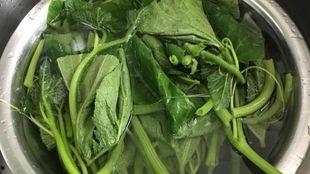 蓝瓜叶怎么吃,蓝瓜叶的多样食用方法探索