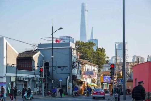 2024吃瓜上海路,吃瓜群众的年度盛宴