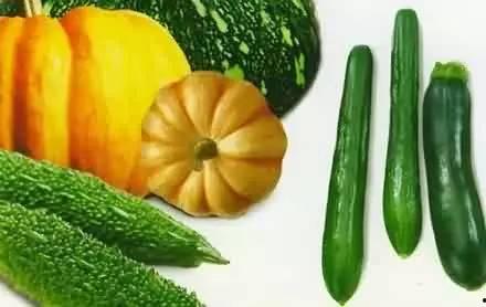 瓜怎样吃营养保留,瓜类食材营养保留的食用之道