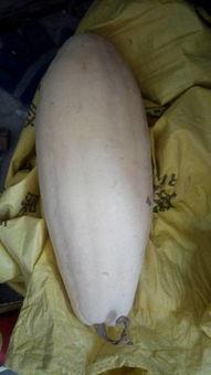 吃瓜大白145,一场网络热点的背后故事