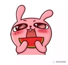 吃瓜骚年,网络热词背后的文化现象