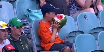 吃瓜骚年,网络热词背后的文化现象