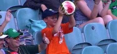 吃瓜骚年,网络热词背后的文化现象