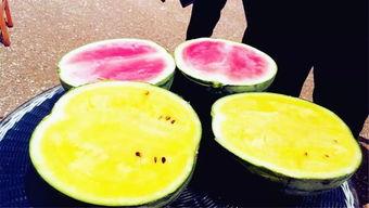 老六爆料吃瓜,娱乐圈吃瓜大揭秘，真相令人震惊！