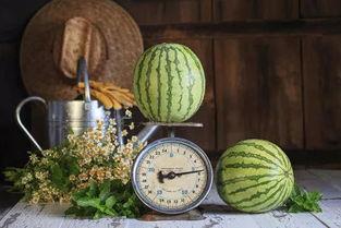 任11吃瓜,揭秘娱乐圈背后的那些事儿