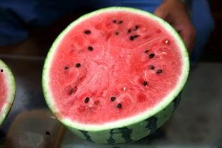 鹿羽吃瓜粉色的