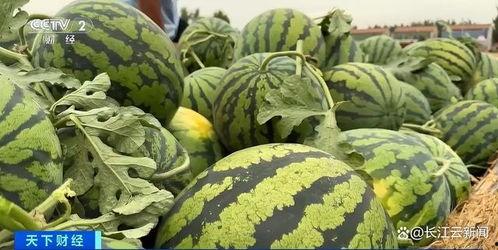 网名小众吃瓜,网名“小众吃瓜”带你领略独特趣味