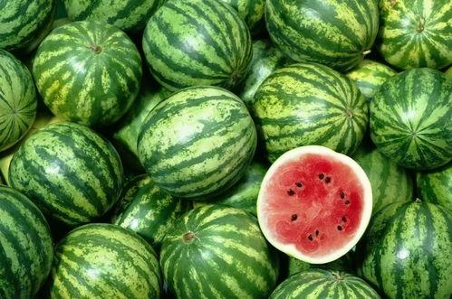 昨天吃瓜吃多了,揭秘昨天疯狂吃瓜背后的秘密