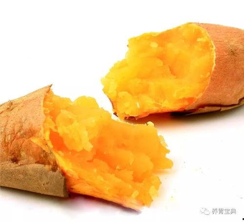 吃生土瓜,探寻土瓜生食的独特魅力与营养秘密