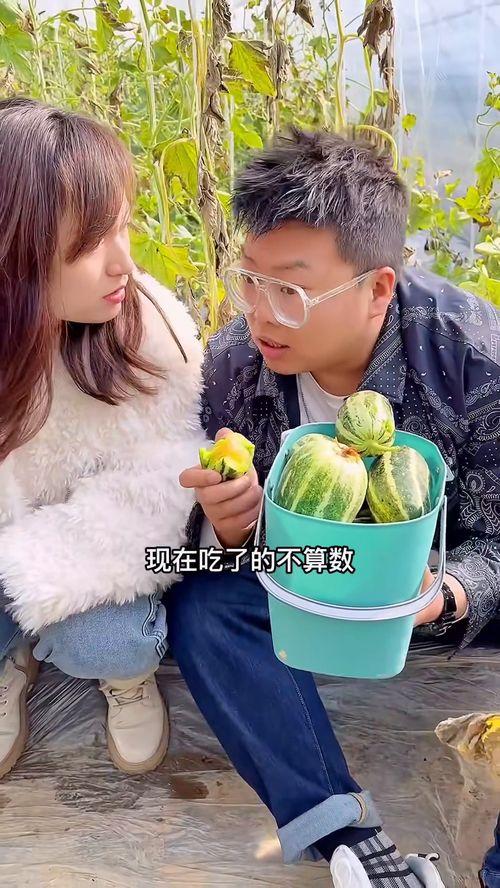 离石吃的瓜,探寻地方特色美食之旅