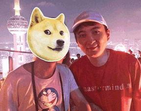 吃瓜弟怎么没了,揭秘网络红人背后的故事