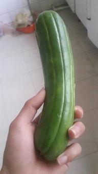 生的可以吃的瓜,盘点那些可食用的瓜类佳肴