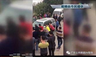 抬走吃瓜怪,揭秘网络热梗背后的故事与影响