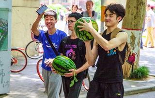 吃瓜传媒学生,学生视角下的娱乐圈风云录