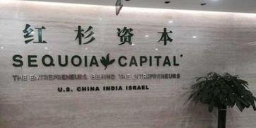 红杉资本吃瓜,揭秘投资界的“吃瓜群众”