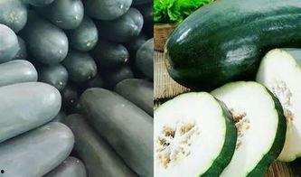 黄岩之星吃瓜视频,揭秘娱乐圈幕后真相