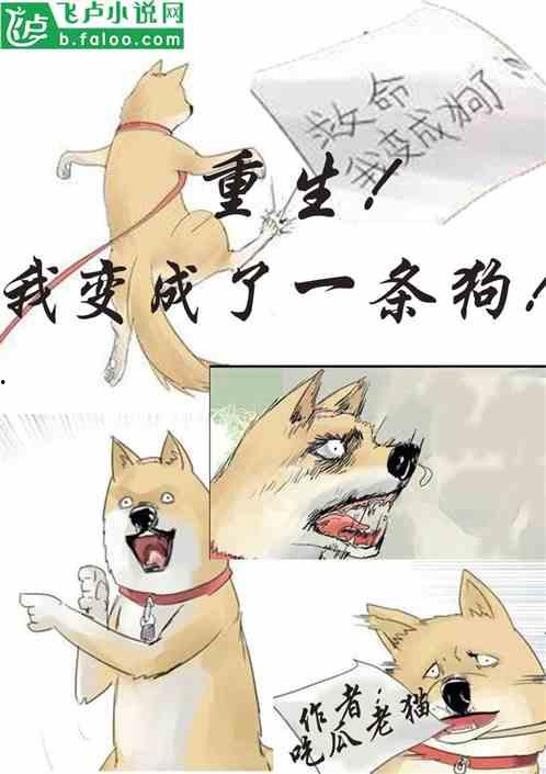 吉吉吃瓜小说后续,揭秘娱乐圈背后的秘密与真相